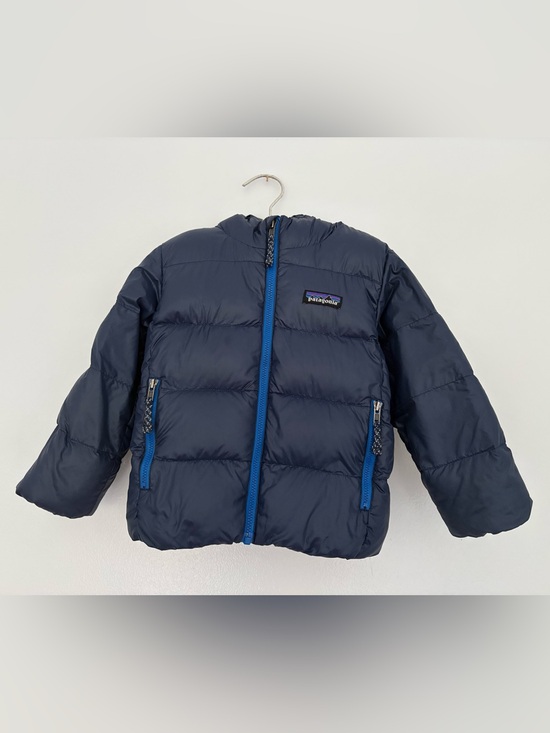 Patagonia Other - Patagonia Toddler Puffer Jacket with Hood